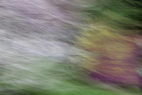 Abstract nature blur using intentional camera movement Stock Photos