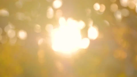 Abstract nature bokeh background Stock Footage 87685236