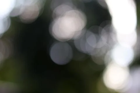 Abstract nature bokeh background. Soft out of focus lights from forest foliag Stock Photos