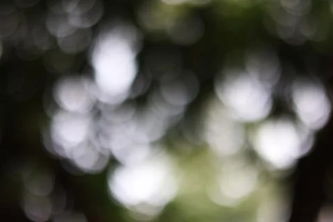 Abstract nature bokeh background with soft white light circles and dark gre.. Stock Photos