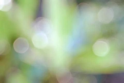 Abstract nature bokeh background,Blurred background. Stock Photos
