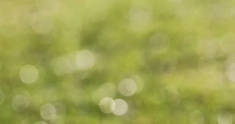 Abstract nature circle bokeh motion background 動画素材 231900041