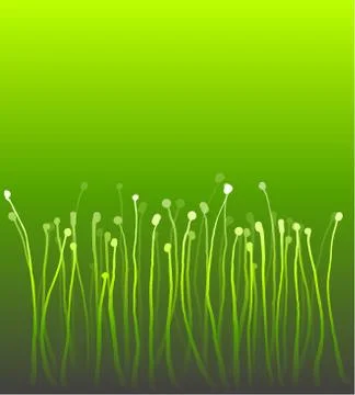 Abstract nature curly gradient grass over green Stock Illustration