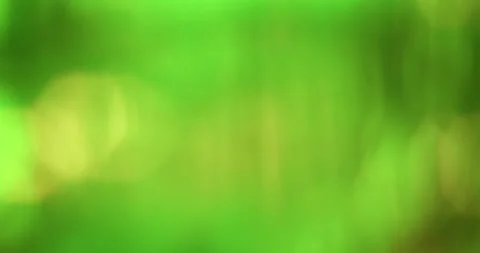 Abstract nature Light and Sunny Green Background with Moving Bokeh Stock Footage 341339972