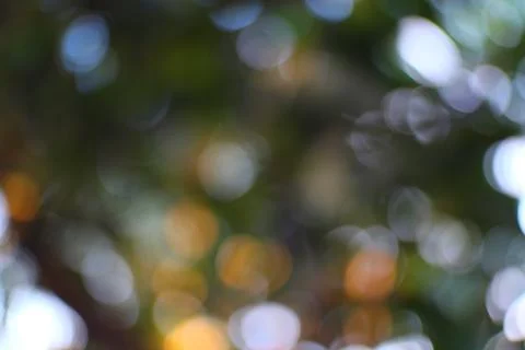 Abstract nature pattern of light and shadow through defocused leaves Stock Photos