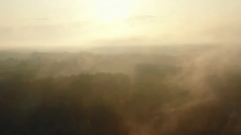Abstract nature patterns, drone flying backwards over forest trees and valley Video stock 153754704