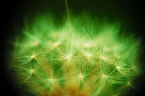 Abstract nature Stock Photos