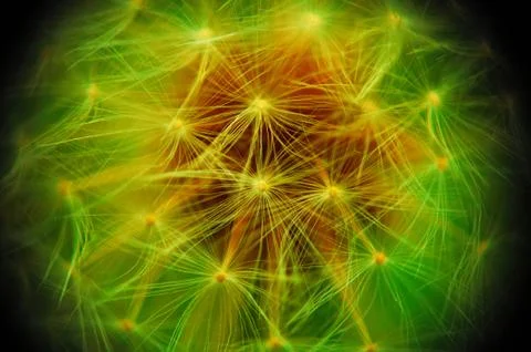 Abstract nature Stock Photos