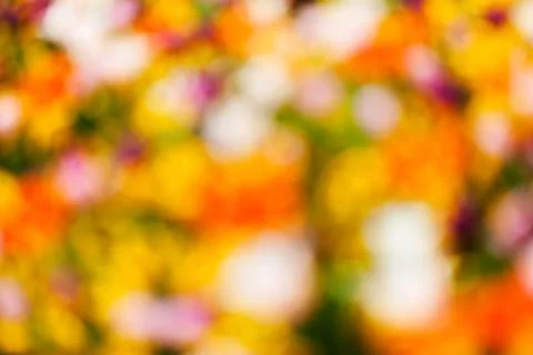 Abstract nature Stock Photos