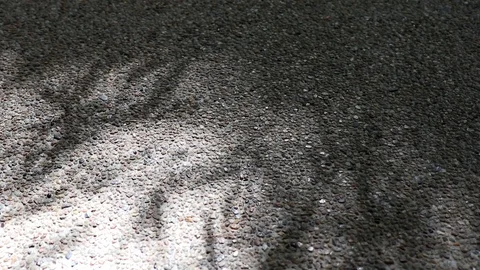 Abstract nature. Shadow of monastery bamboo leaves on gravel floor Stock Footage 115078630