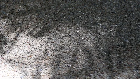 Abstract nature. Shadow of monastery bamboo leaves on gravel floor Stock Footage 115078802