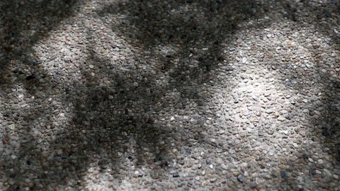 Abstract nature. Shadow of monastery bamboo leaves on gravel floor Stock Footage 122023829
