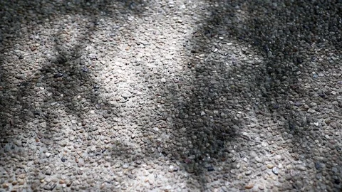 Abstract nature. Shadow of monastery bamboo leaves on gravel floor Stock Footage 122024586