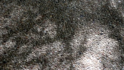 Abstract nature. Shadow of monastery bamboo leaves on gravel floor Stock Footage 122024944