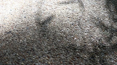 Abstract nature. Shadow of monastery bamboo leaves on gravel floor Stock Footage 122025187