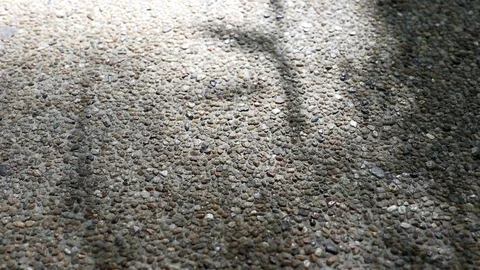 Abstract nature. Shadow of monastery bamboo leaves on gravel floor Stock Footage 122025409