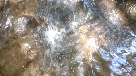Abstract Nature Textures Stock Footage 334590390