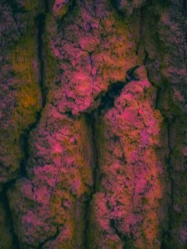 Abstract Neon Bark Texture Close-up Stock Photos