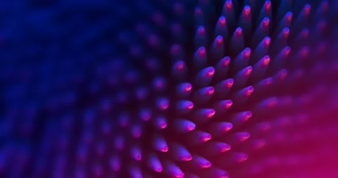 Abstract neon colors pattern, shallow dof, focus changing 4k video background Stock Footage 141064557