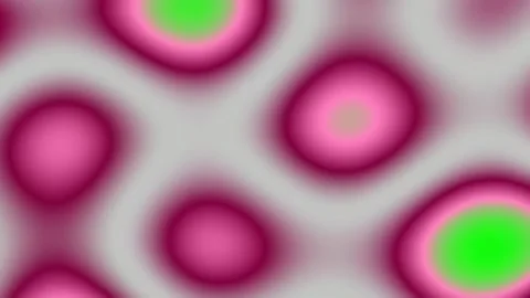 Abstract Neon Gradient Circles Pattern Background - Vibrant Green Pink Flow Stock Footage 341055181