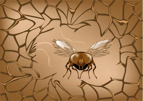 Abstract net with fly Stock Illustration