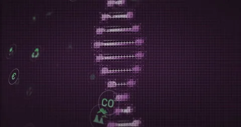 Abstract network visualization showing vertical purple node chain in grid with 스톡 동영상 309110067