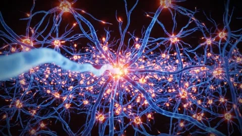 Abstract neural network animation glowing blue and orange synapses firing i.. Stock Footage 323209376