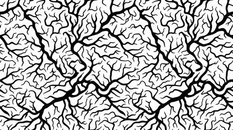 Abstract neural network pattern with branching black veins and organic vasc.. Stock-Illustration