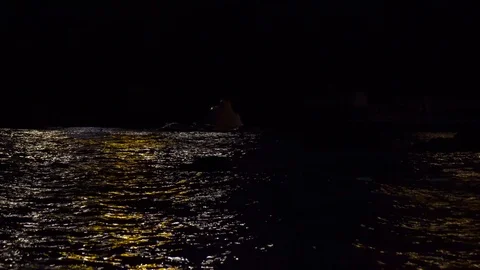 Abstract Night Seascape Stock Footage 95149249