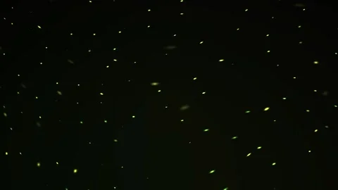 Abstract Night Sky Animation with Glowing Floating Particles and Light Streak Stock Footage 340524477