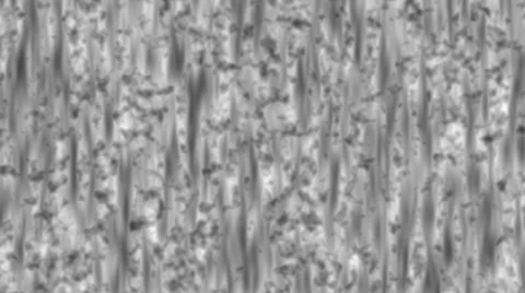 Abstract Noise 1 Stock-Footage 34462238