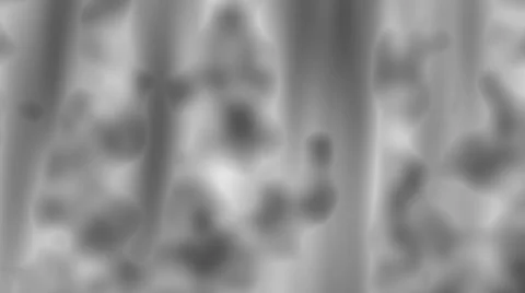 Abstract Noise Stock Footage 34462166