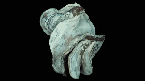 Abstract object 2, rotation, shot Video stock 134944289