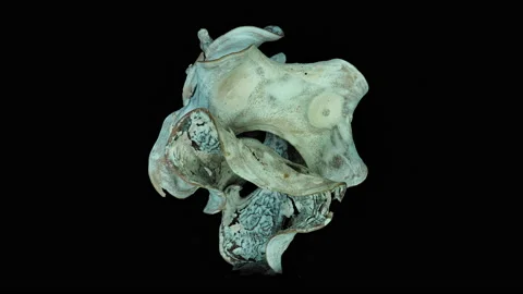 Abstract object 7, rotation, part1 Video stock 136398751