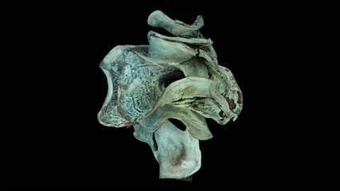 Abstract object 7, rotation, part2 Video stock 136398748