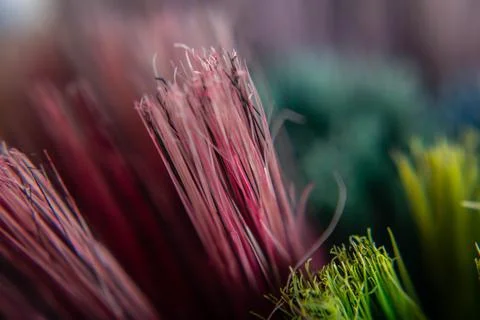 Abstract object of multiple colored bristles or colored strips. Stock Photos