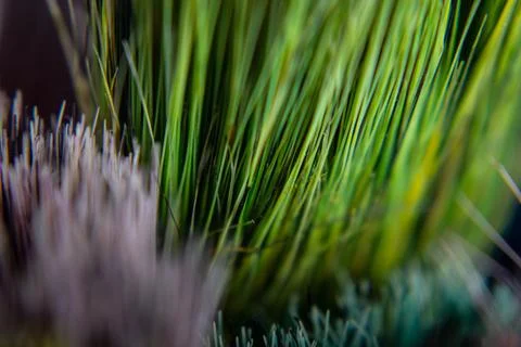 Abstract object of multiple colored bristles or colored strips. Stock Photos