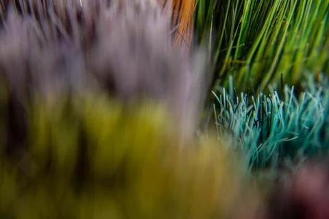 Abstract object of multiple colored bristles or colored strips. Stock Photos