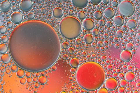 Abstract oil bubbles colored background Photos