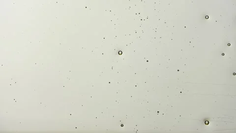 Abstract oil bubbles texture on white background Видео 335155302