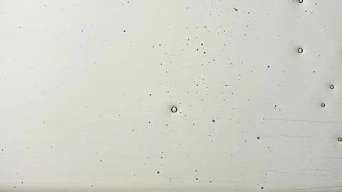 Abstract oil bubbles texture on white background Stock Photos