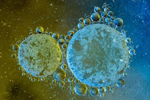 Abstract oil droplets Stock Photos