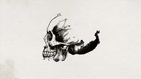 Abstract Old Science Skull Head Drawing Background Animation Stock Footage 143832389