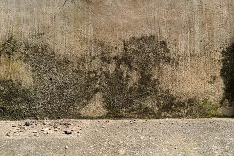 Abstract Old Wall Texture Stock Photos