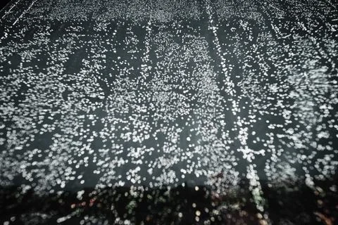 Abstract old window texture Stock Photos