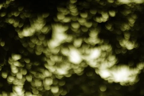 Abstract Olive Green Bubbles Texture Background with Light and Shadow Stock Photos