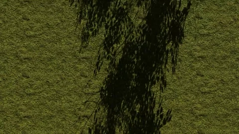 Abstract Olive Green Texture with Dark Shadow Overlay Stock Footage 330985408