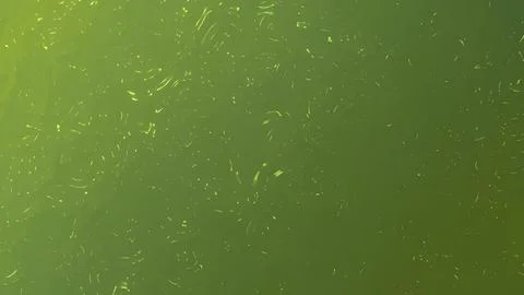 Abstract olive green textured surface pattern. 스톡 사진