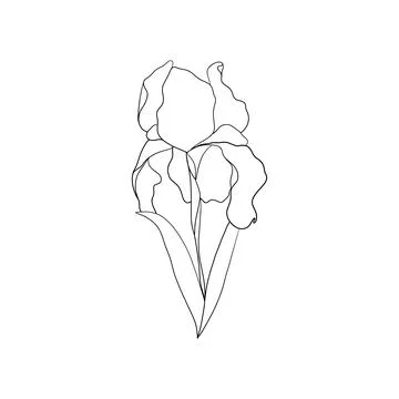 Abstract one line iris flower logo. Simple floral drawing minimalist botanical Stock Illustration