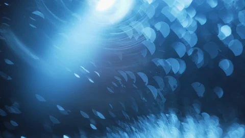 Abstract optical blurred background. Stock Footage 111512235